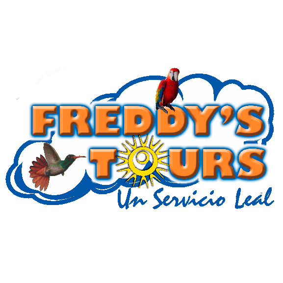 FREDDY’S TOURS SAS